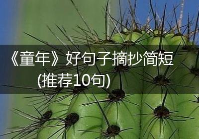 《童年》好句子摘抄简短(推荐10句)