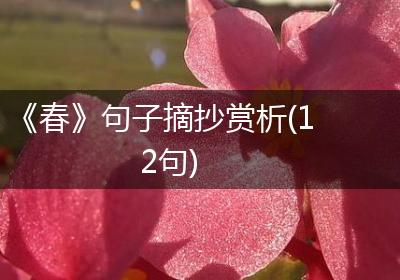 《春》句子摘抄赏析(12句)