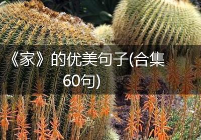 《家》的优美句子(合集60句)