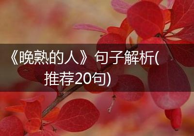 《晚熟的人》句子解析(推荐20句)
