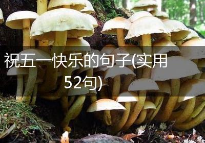 祝五一快乐的句子(实用52句)