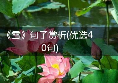 《雪》句子赏析(优选40句)