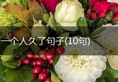 一个人久了句子(10句)
