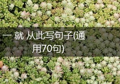 一 就 从此写句子(通用70句)