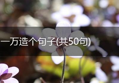一万造个句子(共50句)
