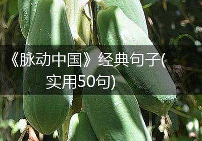 《脉动中国》经典句子(实用50句)