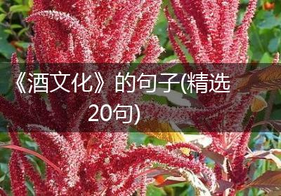 《酒文化》的句子(精选20句)