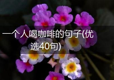 一个人喝咖啡的句子(优选40句)