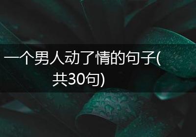 一个男人动了情的句子(共30句)