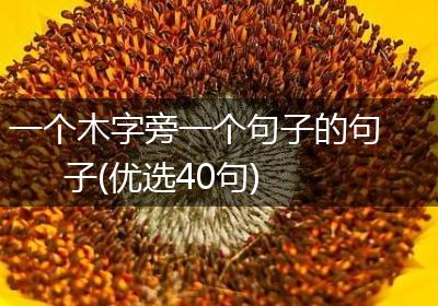 一个木字旁一个句子的句子(优选40句)