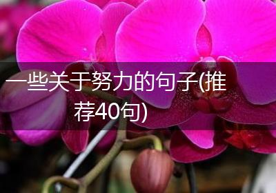 一些关于努力的句子(推荐40句)