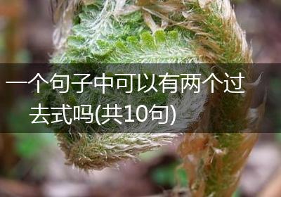 一个句子中可以有两个过去式吗(共10句)