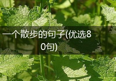 一个散步的句子(优选80句)
