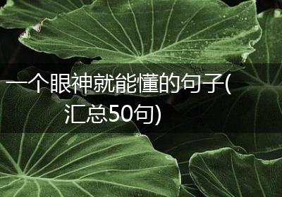 一个眼神就能懂的句子(汇总50句)