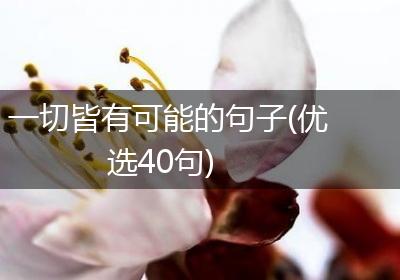 一切皆有可能的句子(优选40句)