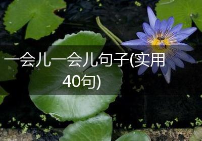 一会儿一会儿句子(实用40句)