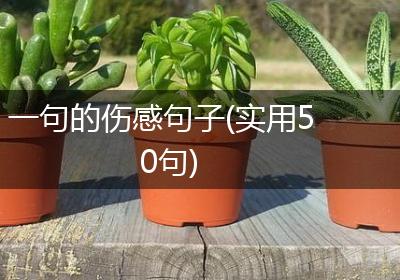 一句的伤感句子(实用50句)