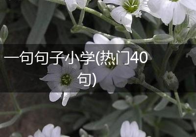 一句句子小学(热门40句)