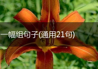 一幅组句子(通用21句)