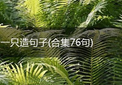一只造句子(合集76句)