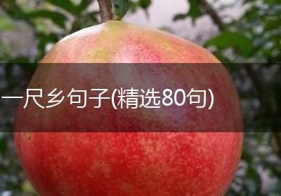 一尺乡句子(精选80句)