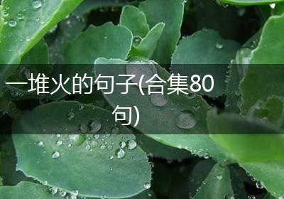 一堆火的句子(合集80句)
