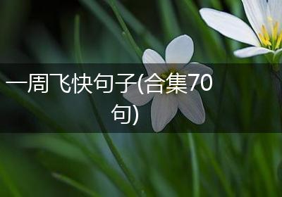 一周飞快句子(合集70句)