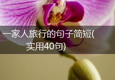 一家人旅行的句子简短(实用40句)