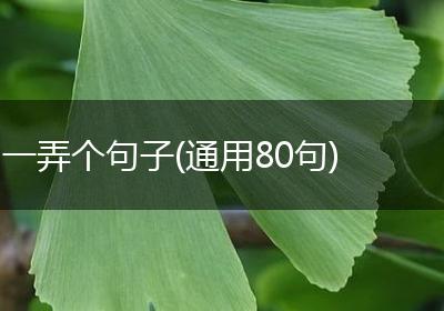 一弄个句子(通用80句)
