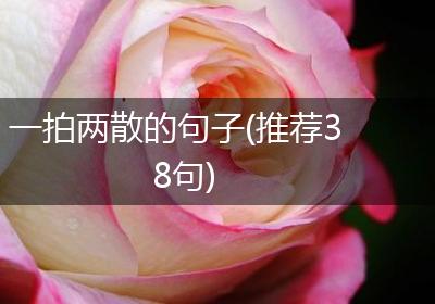 一拍两散的句子(推荐38句)