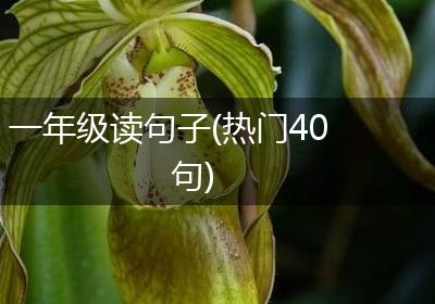 一年级读句子(热门40句)