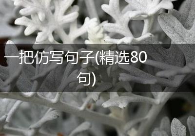 一把仿写句子(精选80句)