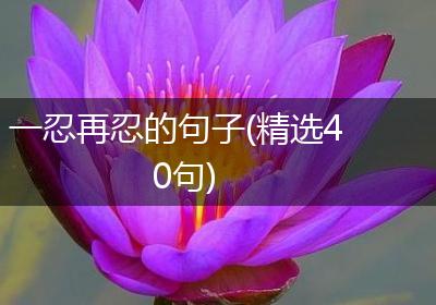 一忍再忍的句子(精选40句)