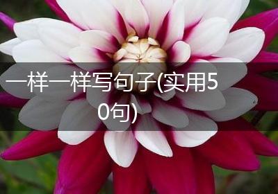 一样一样写句子(实用50句)