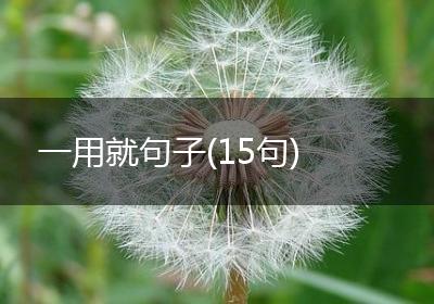 一用就句子(15句)