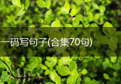 一码写句子(合集70句)