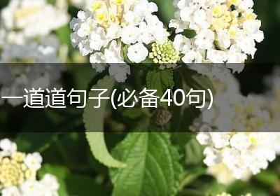 一道道句子(必备40句)