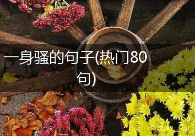 一身骚的句子(热门80句)