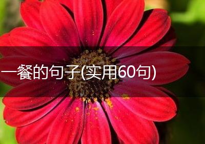 一餐的句子(实用60句)