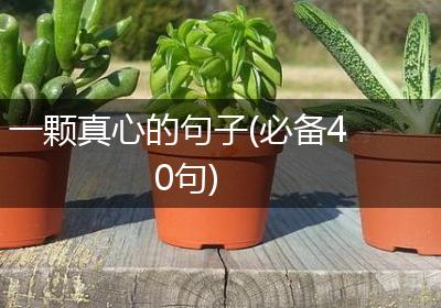 一颗真心的句子(必备40句)