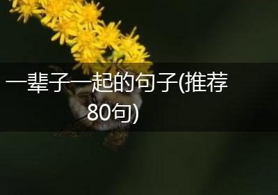 一辈子一起的句子(推荐80句)