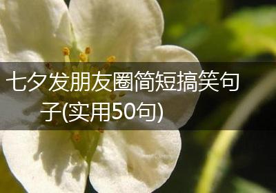 七夕发朋友圈简短搞笑句子(实用50句)