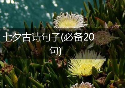 七夕古诗句子(必备20句)