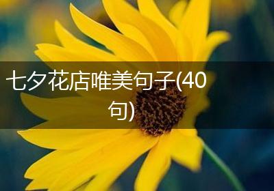 七夕花店唯美句子(40句)