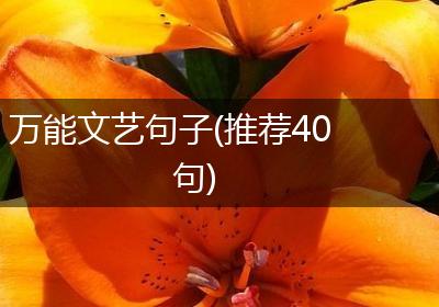 万能文艺句子(推荐40句)