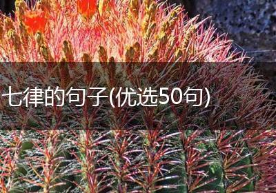 七律的句子(优选50句)