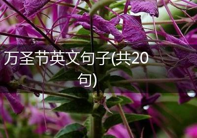 万圣节英文句子(共20句)