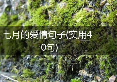 七月的爱情句子(实用40句)