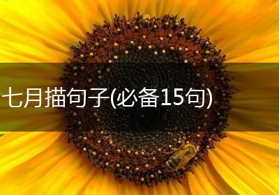七月描句子(必备15句)