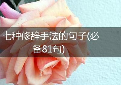 七种修辞手法的句子(必备81句)